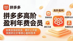 拼多多高阶盈利年费会员(更新4月-网创项目总站