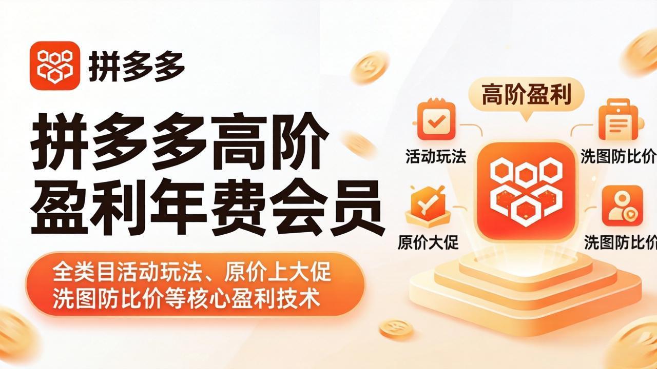 拼多多高阶盈利年费会员(更新4月-网创项目总站