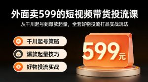 外面卖599的短视频带货投流课：从千川起号到爆款起量，全套好物投流打品实战玩法-网创项目总站