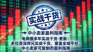 电商圈多年实战干货-更新4月：多位资深师兄实战干货，覆盖全域平台，中小卖家可复制的盈利指南-网创项目总站