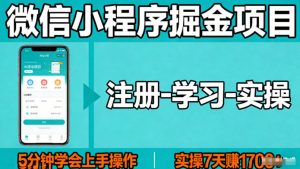 微信小程序掘金项目，项目很简单，5分钟就能学会上手操作，实操7天賺了1700+【揭秘】-网创项目总站