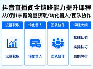 抖音直播间浓缩版视频课程，从0到1掌握直播间流量获取、转化留人、团队协作的全链路能力-网创项目总站
