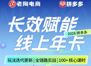 拼多多线上SVIP线上年卡，从认知到基础、从推广到活动、从活动到玩法，全链路实战(26年4月6日更新)-网创项目总站