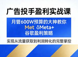 广告投手盈利实战课，月管600W预算的大神教你Meta+谷歌盈利策略，实现从流量获取到利润转化的完整掌控-网创项目总站