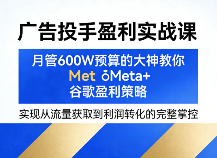 广告投手盈利实战课，月管600W预算的大神教你Meta+谷歌盈利策略，实现从流量获取到利润转化的完整掌控-网创项目总站