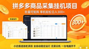 拼多多商品信息全自动采集项目，批量可矩阵，单机轻松日入300+，无需云机一台电脑开干【揭秘】-网创项目总站