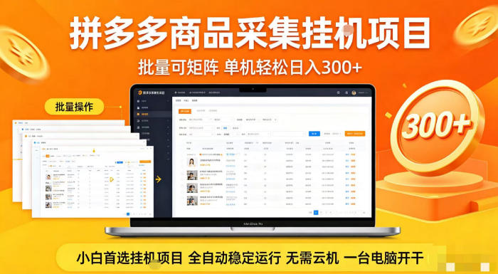 拼多多商品信息全自动采集项目，批量可矩阵，单机轻松日入300+，无需云机一台电脑开干【揭秘】-网创项目总站