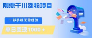 刚需千川涨粉项目，一部手机无需技术，单日变现1k+，当天做当天见收益【揭秘】-网创项目总站