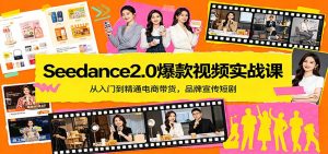 Seedance2.0爆款视频实战课：从入门到精通电商带货，品牌宣传短剧-网创项目总站
