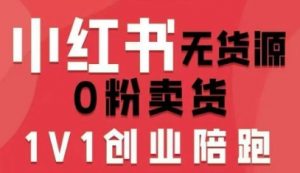 小红书无货源0粉电商课，开店准备、选品策略、笔记撰写、视频剪辑、数据分析、账号打造、资料文档(更新26年4月20日)-网创项目总站
