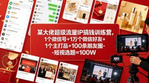 某大佬超级流量IP搞钱训练营，1个微信号+1万个微信好友+1个主打品+100条朋友圈-短视选题=100W-网创项目总站