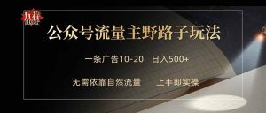 公众号流量主野路子玩法 单条广告10-20元 日入500+-网创项目总站