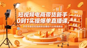 短视频电商带货新手0到1实操爆单直播课,手把手教你短视频带货爆技巧出单搞佣金-网创项目总站