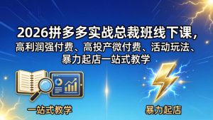 2026拼多多实战总裁班线下课，高利润强付费、高投产微付费、活动玩法、暴力起店一站式教学-网创项目总站