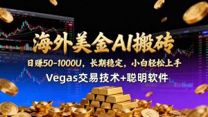 海外美金AI搬砖技术Vegas交易技术+聪明软件【训练营第七期】，日赚50-100U-网创项目总站