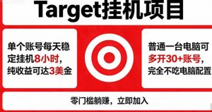 海外平台Target，正规运营商合作、技术兜底长期稳定、防风控、任务不断档、收益透明、灵活提…-网创项目总站
