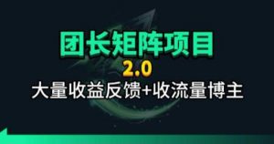 【团长合作2.0】视频矩阵项目_招发手矩阵+剪辑师，共赢项目【揭秘】-网创项目总站