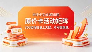 拼多多实战课58期：原价卡活动矩阵，300链接批量上大促，不亏钱跑量-网创项目总站