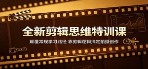 全新剪辑思维特训课：颠覆常规学习路径，靠剪辑逻辑搞定拍摄创作-网创项目总站