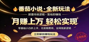 番茄小说5月最新独家玩法，稳定落地实测月入过万！-网创项目总站