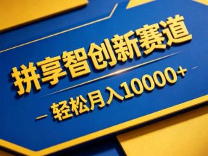 拼享智创新赛道，轻松月入1W+，门槛极低、收益稳定、可长期放大的轻资产项目【揭秘】-网创项目总站