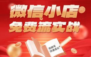 微信小店免费流实战，有货源无货源双模式，从开店到爆单全实操课，小白也能月入1W+-网创项目总站