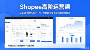 Shopee高阶运营课-2026年5月更新，从基础搭建到高阶广告，全链路实操破解流量销量瓶颈-网创项目总站