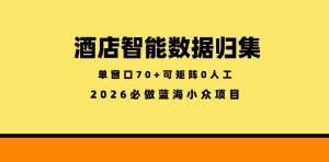 酒店智能数据归集，小众蓝海已经稳定半年之久，单窗口70+零成本矩阵开干【揭秘】-网创项目总站