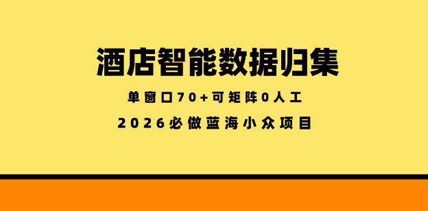 酒店智能数据归集，小众蓝海已经稳定半年之久，单窗口70+零成本矩阵开干【揭秘】-网创项目总站