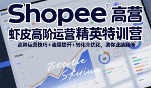 Shopee虾皮高阶运营精英特训营，高阶运营技巧+流量提升+转化率优化，助你业绩翻倍(更新26年5月)-网创项目总站