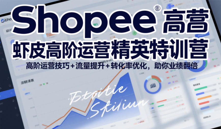 Shopee虾皮高阶运营精英特训营，高阶运营技巧+流量提升+转化率优化，助你业绩翻倍(更新26年5月)-网创项目总站