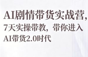 AI剧情带货实战营，7天实操带教，带你进入AI带货2.0时代-网创项目总站