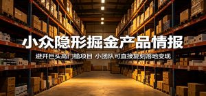 小众隐形掘金产品情报：避开巨头高门槛项目，小团队可直接复刻落地变现-网创项目总站