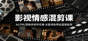 影视情感混剪课：AE/PR/剪映多软件实操，全套调色预设直接套用-网创项目总站