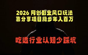 2026 网创副业风口玩法，靠分享项目稳步年入百万，吃透行业认知少踩坑-网创项目总站