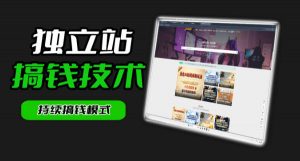 干货来袭！麦子甜带你吃透独立站｜从搭建到引流一站式教学《独立站》第一期-网创项目总站