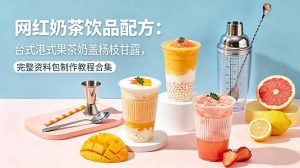 网红奶茶饮品配方：台式港式果茶奶盖杨枝甘露，完整资料包制作教程合集-网创项目总站