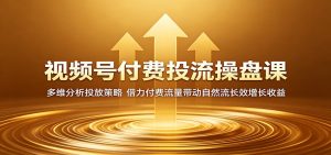 视频号付费投流操盘课：多维分析投放策略，借力付费流量带动自然流长效增长收益-网创项目总站
