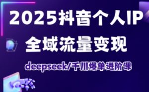 抖音个人IP全域流量变现进阶课，deepseek千川爆单进阶课(更新2026年05月)-网创项目总站