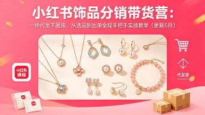 小红书饰品分销带货营：一件代发不囤货，从选品到出单全程手把手实战教学(更新5月-网创项目总站