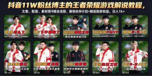 抖音11W粉丝博主的王者荣耀游戏解说教程，文案、配音、素材剪辑全流程，解锁伙伴计划+精选独家收益，日入1k+-网创项目总站