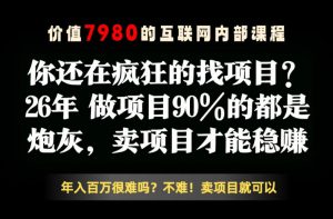 26年请不要疯狂的找项目了，卖项目远比你想象的暴利，你也可以月入10W+【揭秘】-网创项目总站