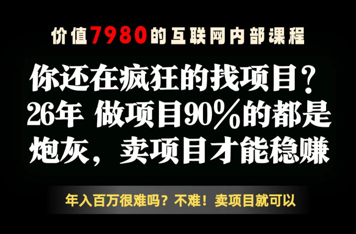 26年请不要疯狂的找项目了，卖项目远比你想象的暴利，你也可以月入10W+【揭秘】-网创项目总站