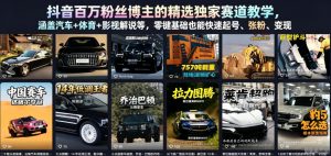 抖音百万粉丝博主的精选独家赛道教学，涵盖汽车+体育+影视解说等，零基础也能快速起号、涨粉、变现-网创项目总站