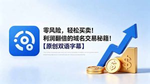 零风险，轻松买卖！利润翻倍的域名交易秘籍！【原创双语字幕】-网创项目总站