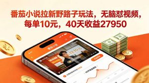 番茄小说拉新野路子玩法，无脑怼视频，每单10元，40天收益27950-网创项目总站