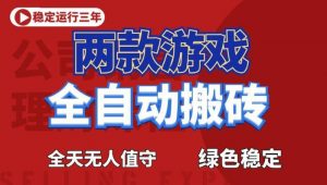 海外游戏全自动搬砖，日入1k+，全天无人值守，绿色稳定！【揭秘】-网创项目总站