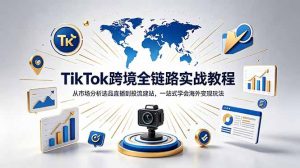 TikTok+独立站跨境基础全套教程，拆解平台盈利逻辑，新手从零跑通变现全流程-网创项目总站