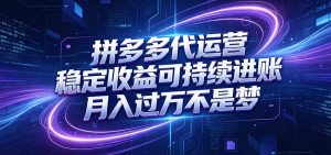 拼多多代运营，小白也能轻松月入过万，真实运营数据可查，全托管代运营-网创项目总站