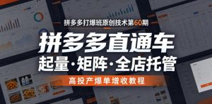 拼多多打爆班原创技术第60期，拼多多直通车，起量・矩阵・全店托管，高投产爆单增收教程-网创项目总站